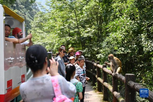 湖南张家界：旅游业持续“升温” 景区迎客流高峰