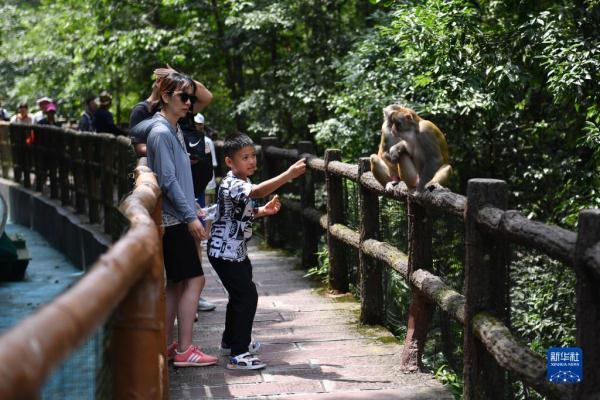 湖南张家界：旅游业持续“升温” 景区迎客流高峰