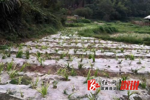 微信图片_20230727100724(1).jpg