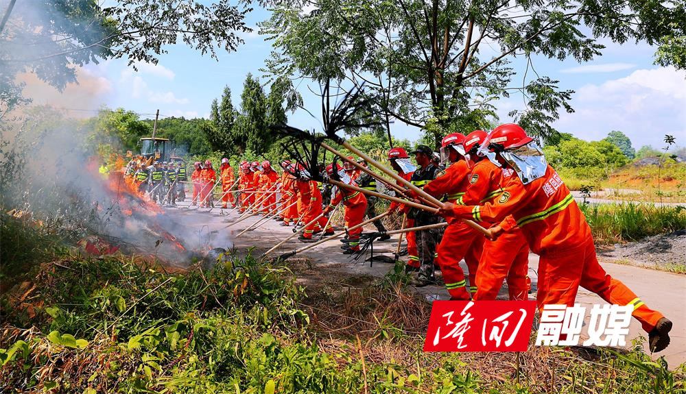 隆回县组织开展2023年森林火灾应急演练(图3)