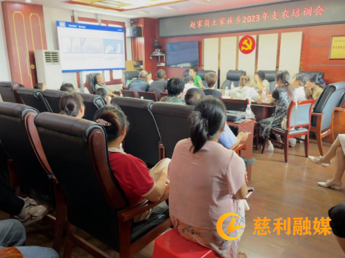图片1_副本.png