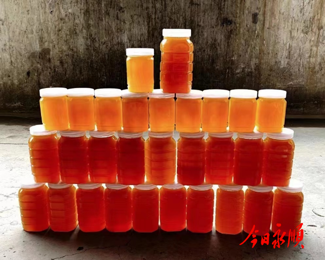 微信截图_20230731133158.png