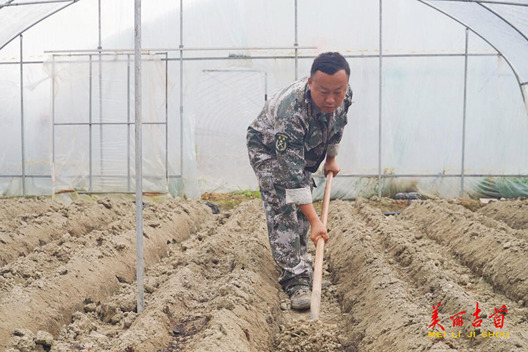 時雪亭：退役軍人變身“新農人” 為鄉村振興注入“新能量”1.jpg