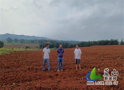 蓝山：监督+督查+田长合奏 奏响耕地保护新篇章.jpg