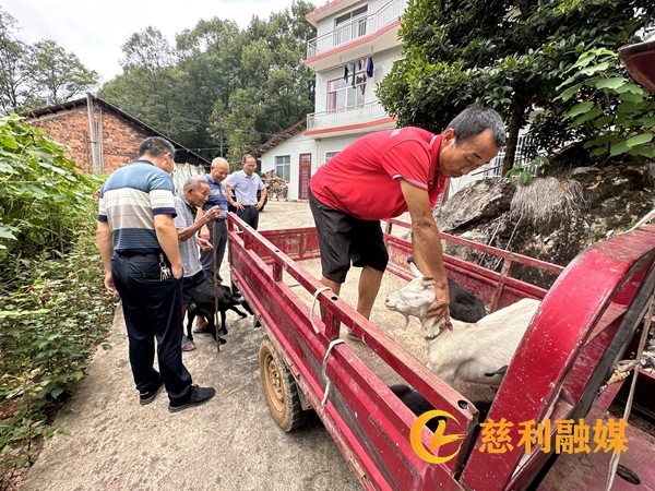 微信图片_20230731184702_副本.jpg