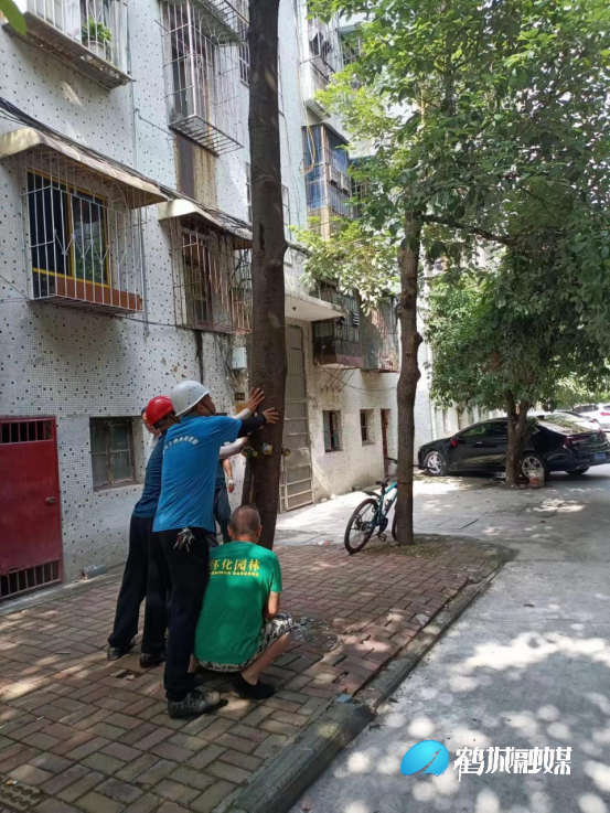 微信图片_20230803170721.png