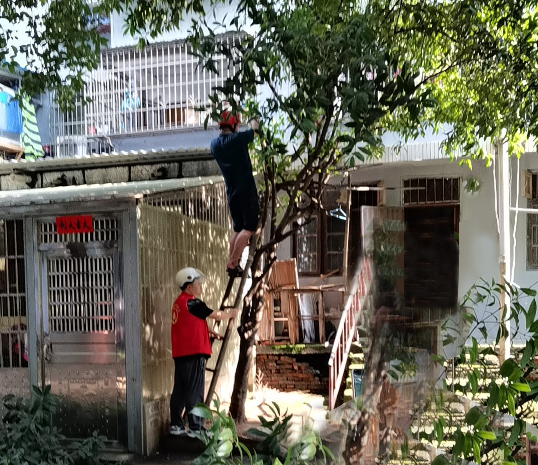 微信图片_202308031022311.jpg