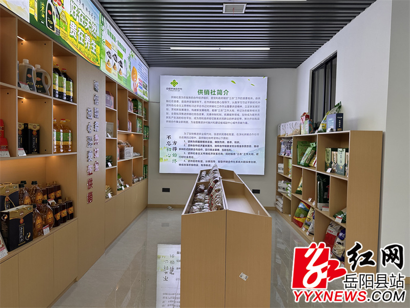 馆内陈设1.jpg 馆内陈设1.jpg