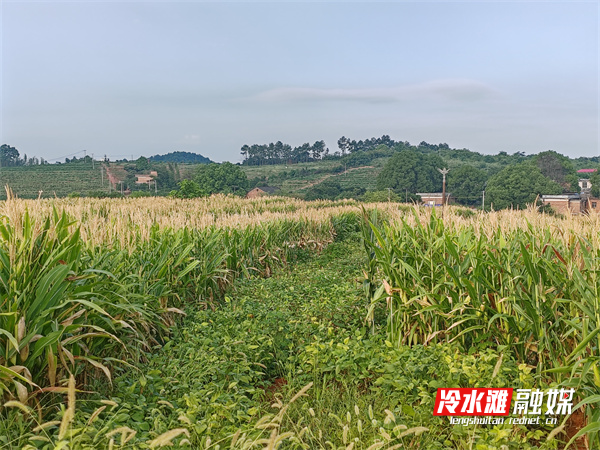 微信图片_20230807094000.jpg