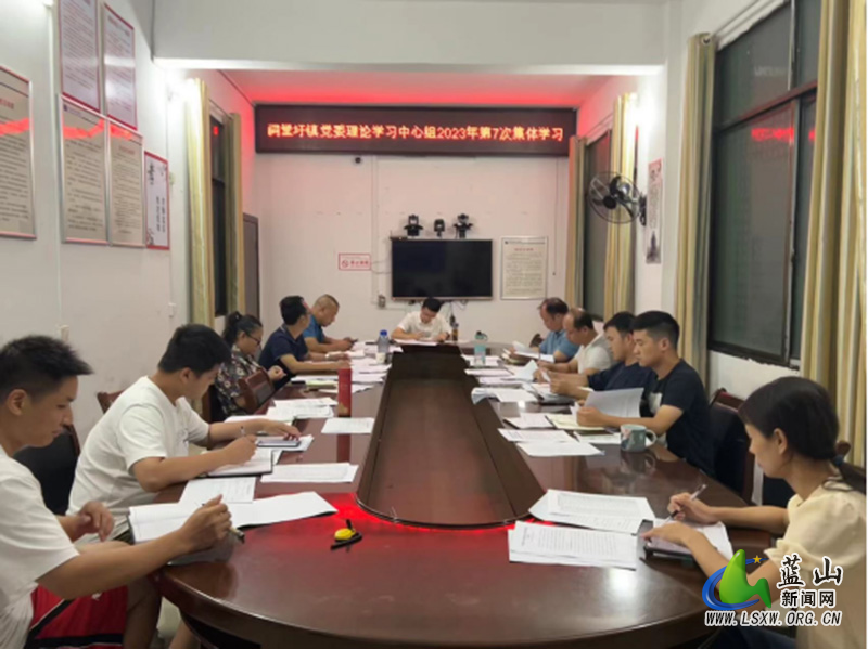 祠堂圩镇党委理论学习中心组开展2023年第7次集体学习.jpg