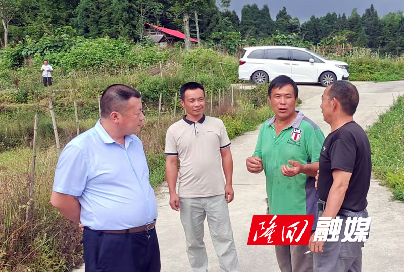 隆回县自然资源局“走找想促” 调研做好乡村振兴新答卷(图2)