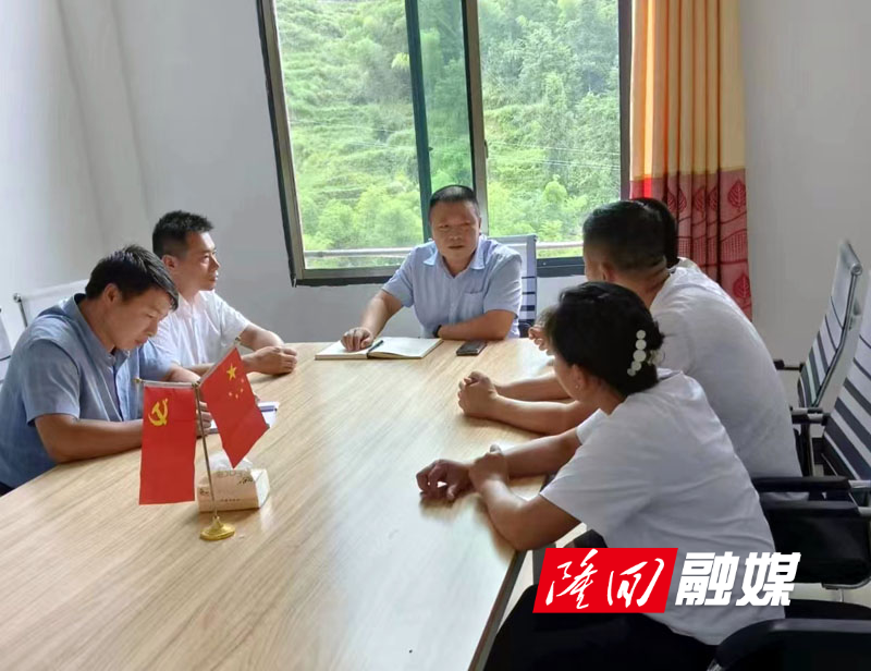 隆回县自然资源局“走找想促” 调研做好乡村振兴新答卷(图1)