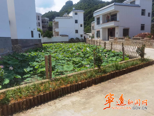 宁远：深化“三规三除”整治 绘就和美乡村画卷_副本500.jpg