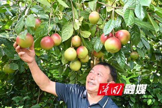 DSC_4714 - 副本.JPG