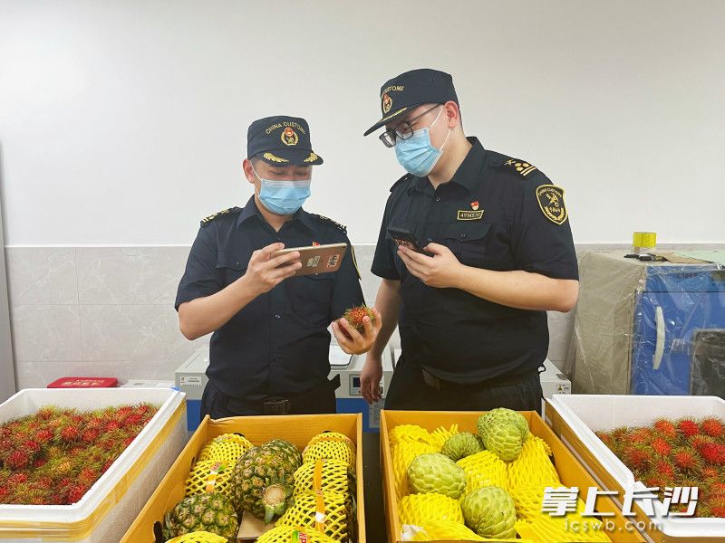 长沙机场海关人员正查验进口水果。长沙晚报通讯员 林俊供图