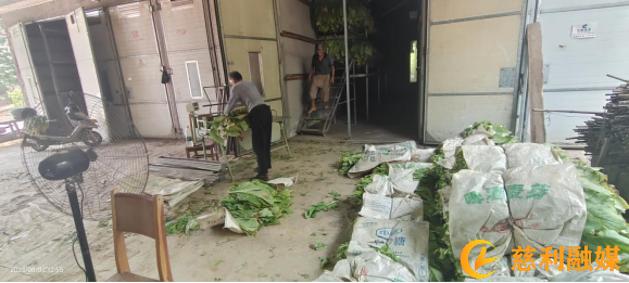 图片(10).png 图片(10).png