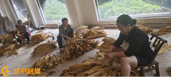 图片(11).png 图片(11).png