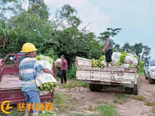 图片(9).png 图片(9).png