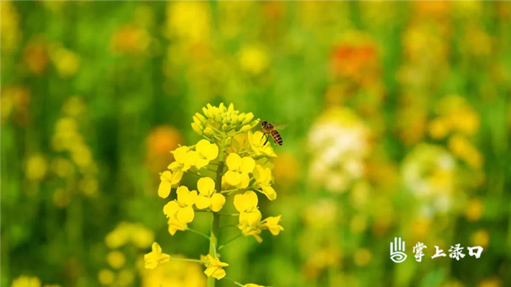 49f00116cc2f7a780956663fcb422902.jpg 49f00116cc2f7a780956663fcb422902.jpg