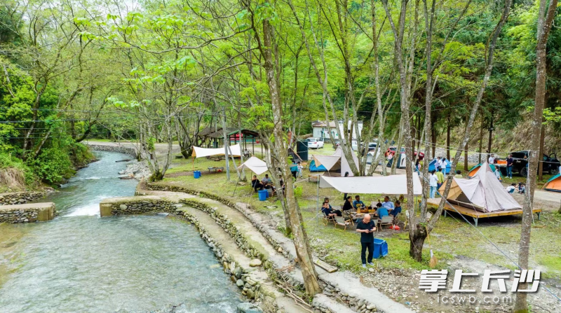 游客们正在露营游玩。金田村 供图