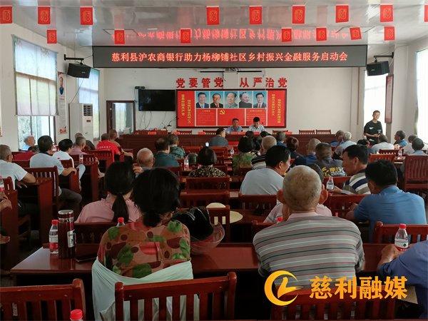 杨柳1_副本.jpg