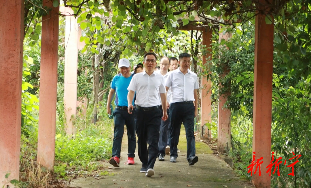 邓涛专题调度崀山窑市生态农庄建设(图1)