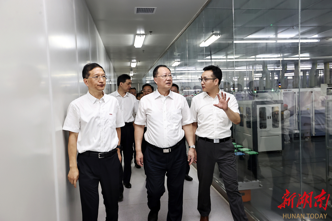 8月17日，毛伟明在湖南红太阳光电科技有限公司调研。.jpg