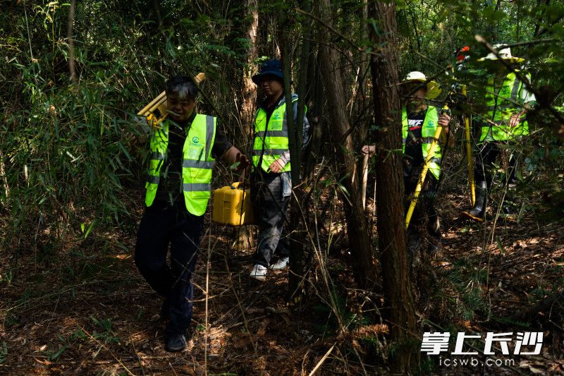 长沙市规划勘测设计研究院测绘三部的队员扛着测绘设备在野外行进。均为长沙晚报全媒体记者 董阳 摄