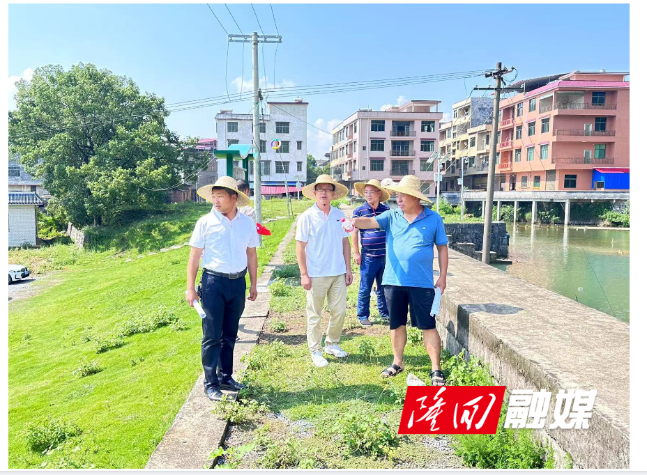 生态环境1.png