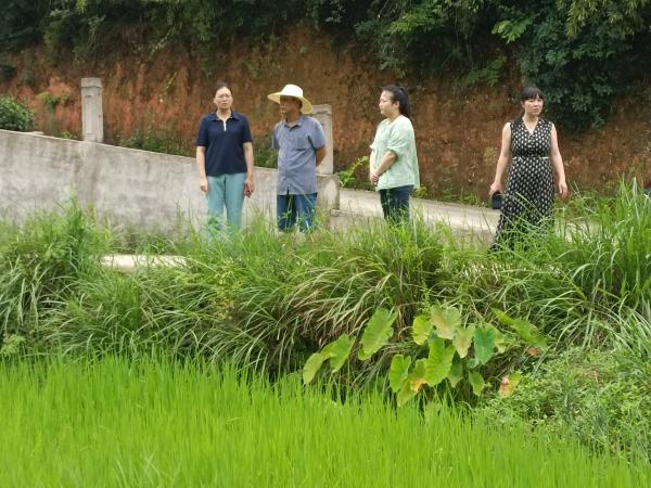 微信图片_20230818090954(1).jpg