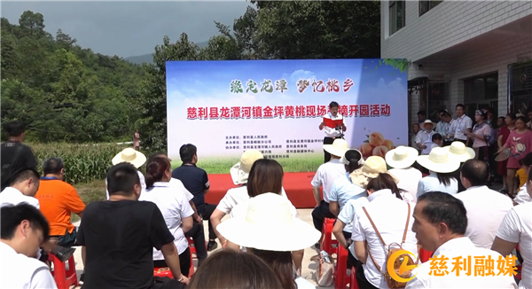 27捕获.jpg 27捕获.jpg