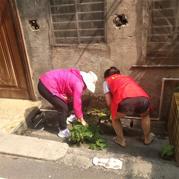 图十一香雪路社区联合辖区结对共建单位区统计局开展周末卫生日活动。（蒋金桂 摄）.jpg