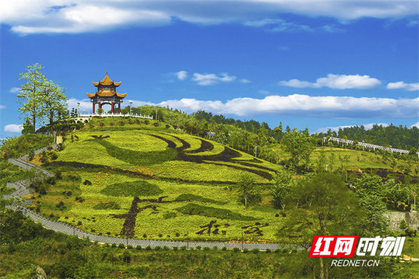 图片5.png 图片5.png