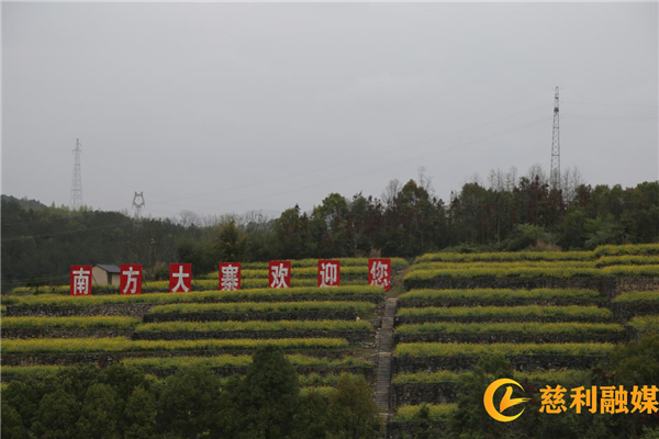 图片 1.jpg