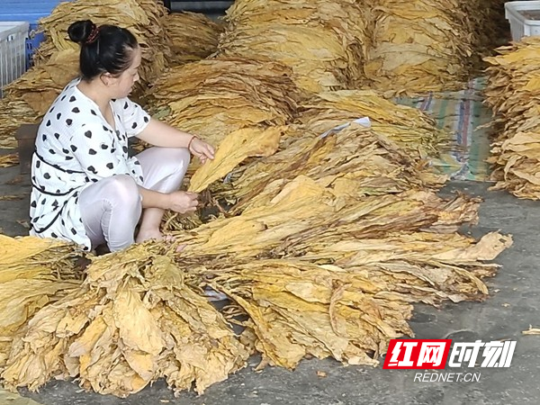 图片8.jpg