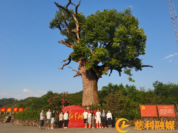 在“红军树”下合影 (1).jpeg