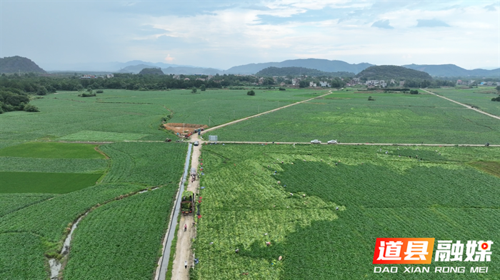 道县:红薯喜丰收 农户收获忙3_副本.bmp 道县:红薯喜丰收 农户收获忙3_副本.bmp