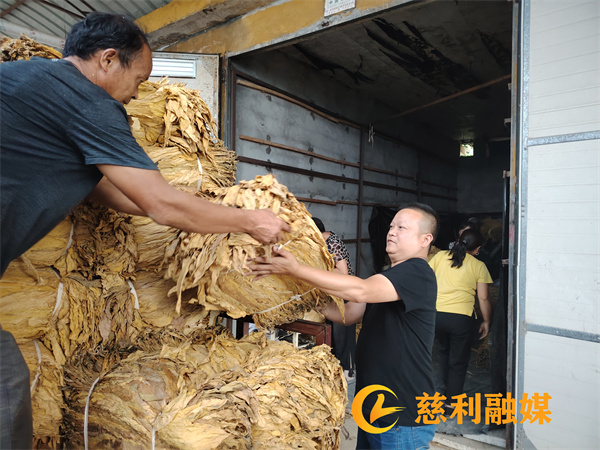 9ee19b10817e188e53aab9e393da4aa (2).jpg