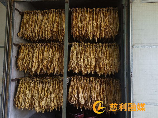 2bcbc0cf22964a9fd0934c9c6ac5e7d (2).jpg