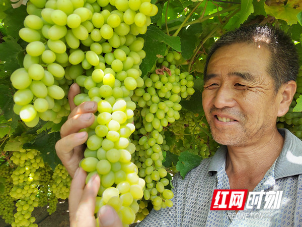 微信图片_20230901204725.jpg 微信图片_20230901204725.jpg