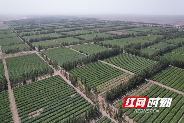 微信图片_20230901204657.jpg 微信图片_20230901204657.jpg