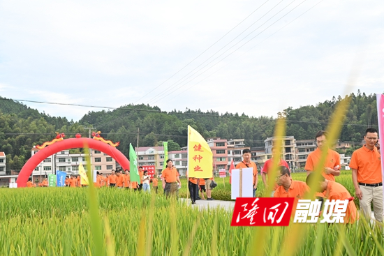 DSC_7645 - 副本.JPG