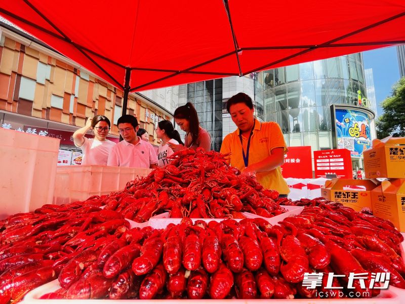肥硕、红亮的潜江油焖大虾免费供长沙市民品尝。