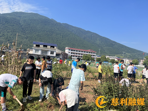 0904劳动教育2_副本.jpg