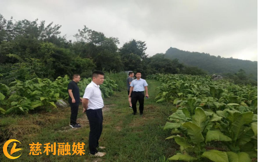 图片(6).png