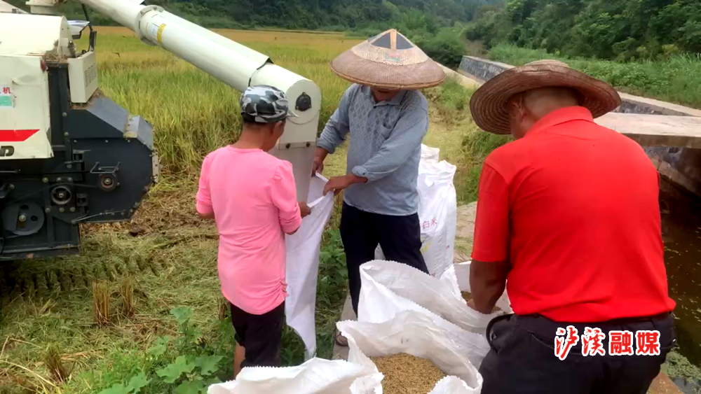 微信图片_20230905091128.bmp