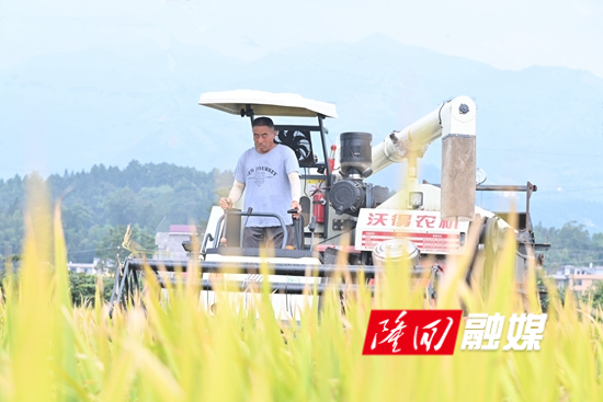 DSC_8009 - 副本.JPG DSC_8009 - 副本.JPG