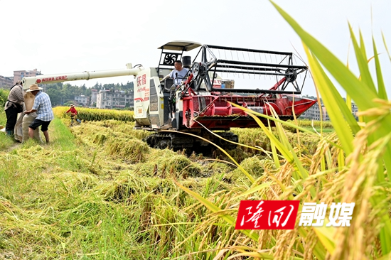 DSC_8017 - 副本.JPG DSC_8017 - 副本.JPG