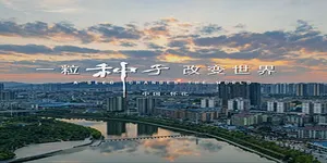 “五一”来洪江古商城看戏听曲“当老板”