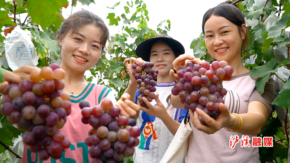微信图片_20230907093614.png